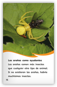 Las arañas from Fábulas y el Mundo Real