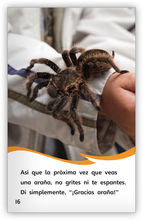 Las arañas from Fábulas y el Mundo Real