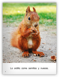 Las ardillas
