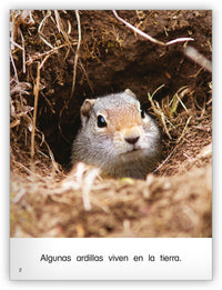 Las ardillas Big Book