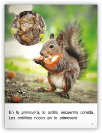 Las ardillas Big Book