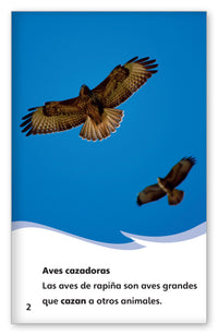 Las aves de rapiña from Fábulas y el Mundo Real