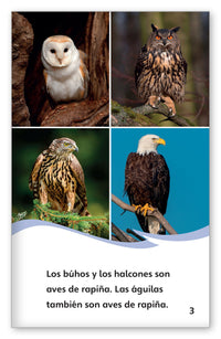 Las aves de rapiña from Fábulas y el Mundo Real
