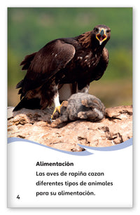 Las aves de rapiña from Fábulas y el Mundo Real