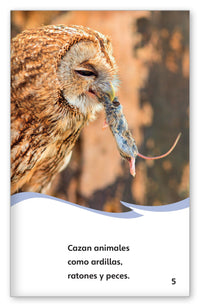 Las aves de rapiña from Fábulas y el Mundo Real