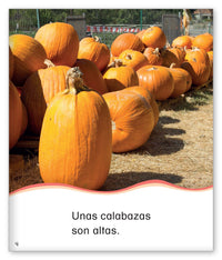 Las calabazas