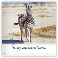 Las cebras from Zoozoo En La Selva