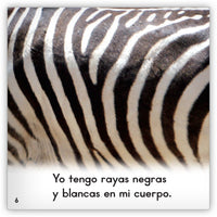 Las cebras from Zoozoo En La Selva