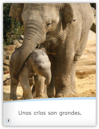 Las crías de los animales