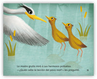 Las grullas y el pavo real from Fábulas y el Mundo Real