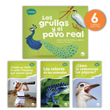 Las Grullas Y El Pavo Real Theme Guided Reading Set Image Book Set