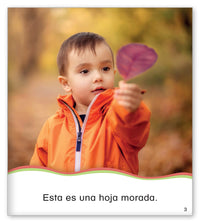 Las hojas del otoño