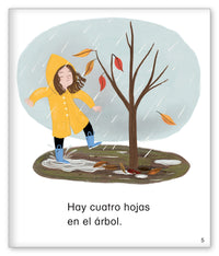 Las hojas en el árbol