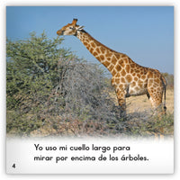 Las jirafas from Zoozoo En La Selva