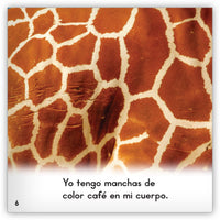 Las jirafas from Zoozoo En La Selva