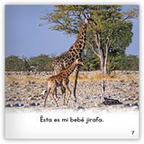 Las jirafas from Zoozoo En La Selva