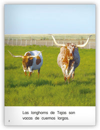 Las longhorns