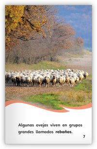 Las ovejas from Fábulas y el Mundo Real