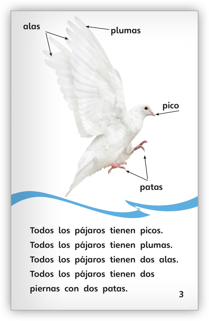 las-palomas-1_1024x1024.jpg?v=