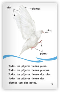 Las palomas from Fábulas y el Mundo Real