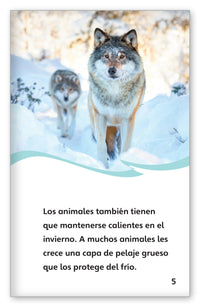 Las personas y los animales durante el invierno from Fábulas y el Mundo Real