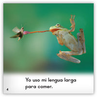 Las ranas from Zoozoo En La Selva