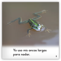 Las ranas from Zoozoo En La Selva