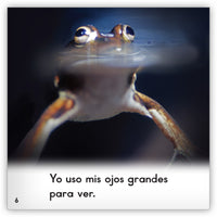 Las ranas from Zoozoo En La Selva