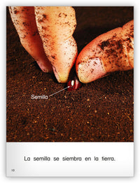 Las semillas from Colección Caleidoscopio