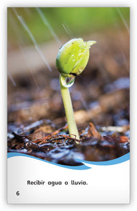 Las semillas from Fábulas y el Mundo Real