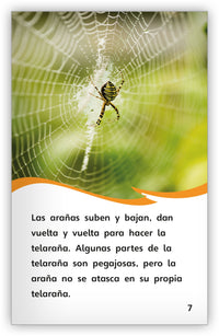 Las telarañas from Fábulas y el Mundo Real