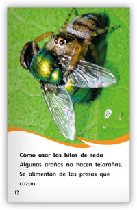 Las telarañas from Fábulas y el Mundo Real