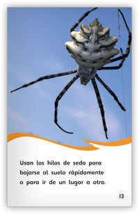 Las telarañas from Fábulas y el Mundo Real