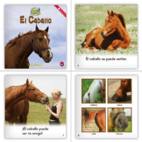 Level A Dual Language Set