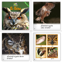 Level B Dual Language Set