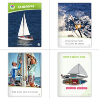 Level D Dual Language Set (6-Packs)