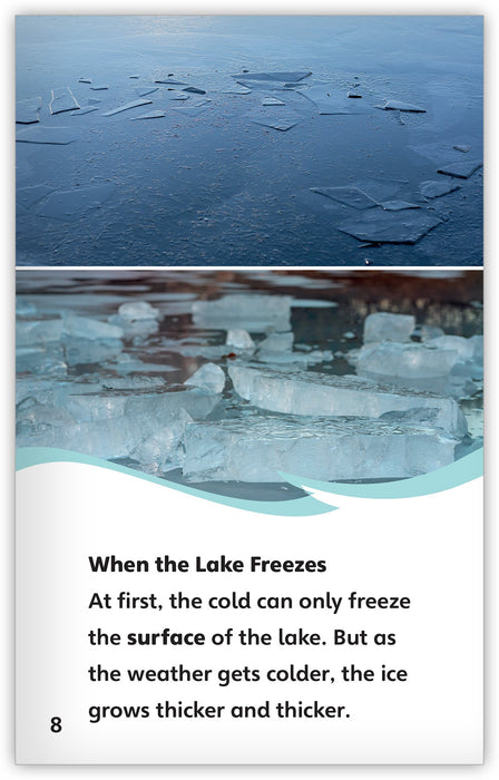 Life in a Frozen Lake