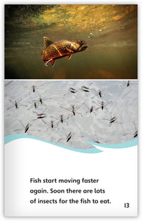 Life in a Frozen Lake