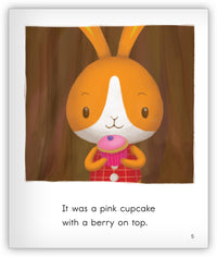 Little Rabbit's Foot from Joy Cowley Early Birds