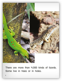 Lizards from Kaleidoscope Collection