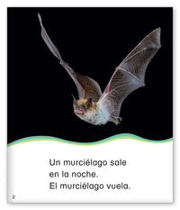 Lo que sale en la noche