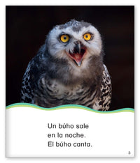 Lo que sale en la noche