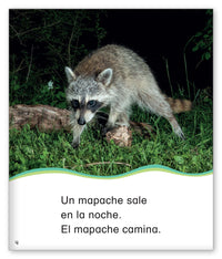 Lo que sale en la noche