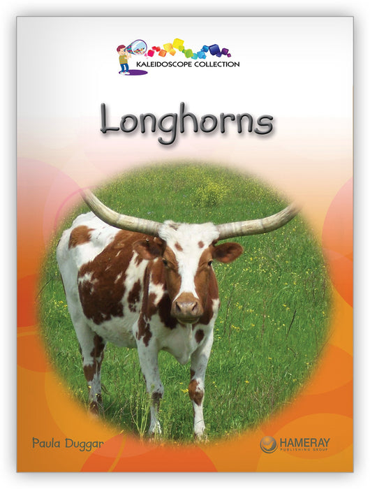 Longhorns from Kaleidoscope Collection
