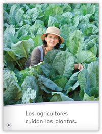 Los agricultores cultivan alimentos