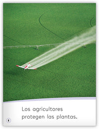 Los agricultores cultivan alimentos