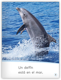 Los animales en el mar