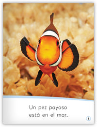 Los animales en el mar