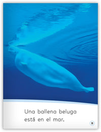 Los animales en el mar