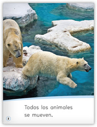 ¡Los animales se mueven!